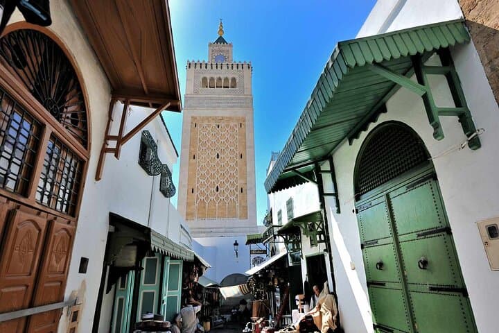 From Tunis: Private Tour of the Bardo Museum, Zitouna Mosque and the Medina of Tunis