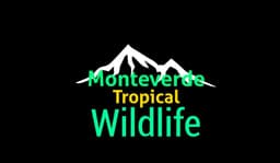 Monteverde Tropical Wildlife