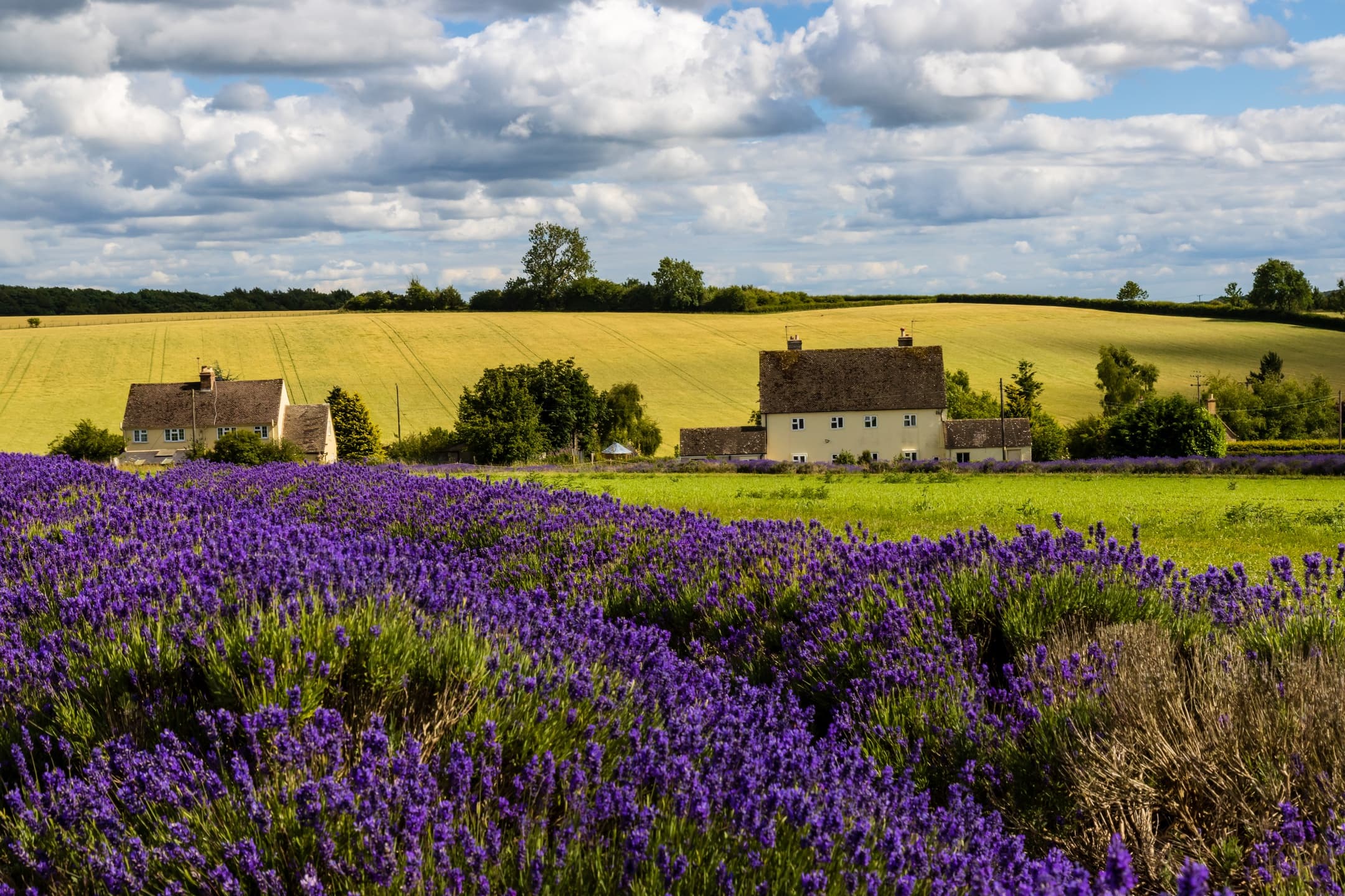 Athens to Dubrovnik Adventure 7-countries (Small Group)