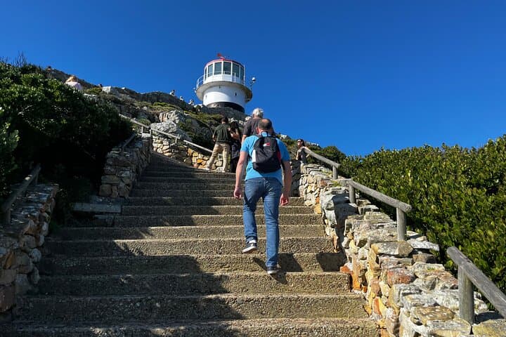 Private Full Day Tour in Cape of Good Hope and Penguin Watching