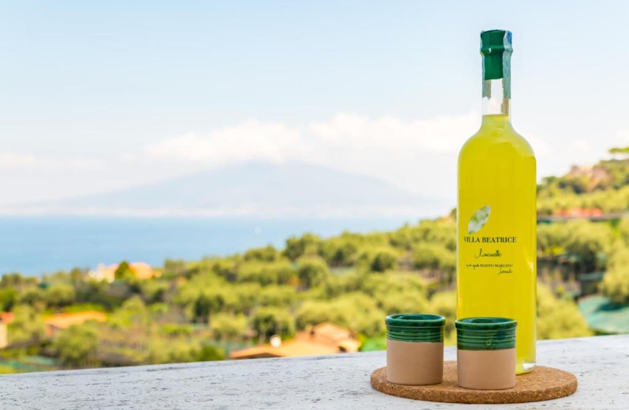 Lemon Grove Walk, Tasting and Open Bar Aperitivo in Sorrento
