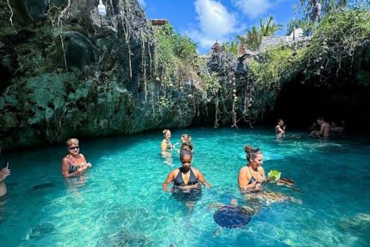 Zanzibar Prison Island, Jozani Forest and Salaam Cave Sea Turtles