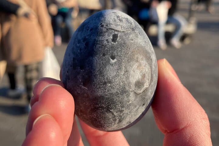 Customizable Hakone Private day Trip, English Speaking driver