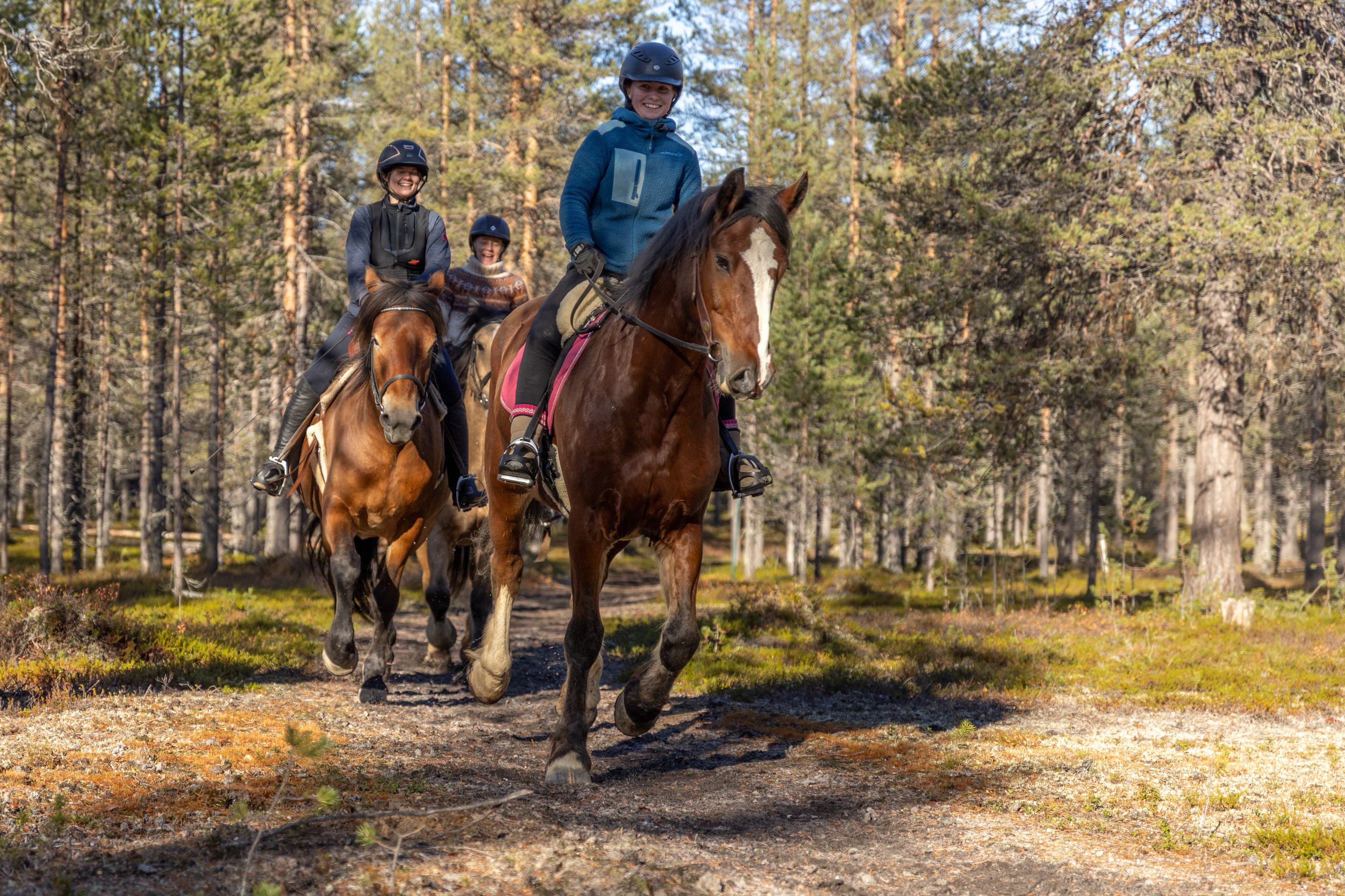 Wolverine's Way – Horseback trail ride