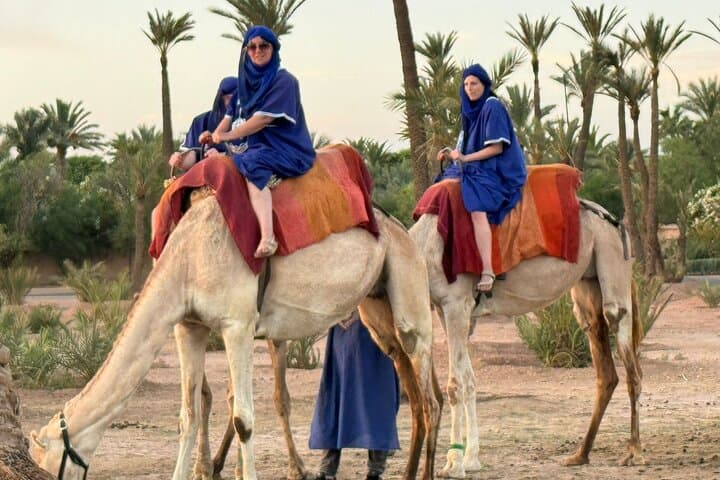 Camel Ride Through Palmeraie of Marrakech