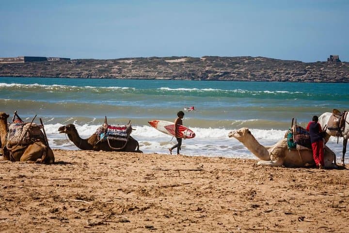 Full day Tour Essaouira Day Tour from Marrakech