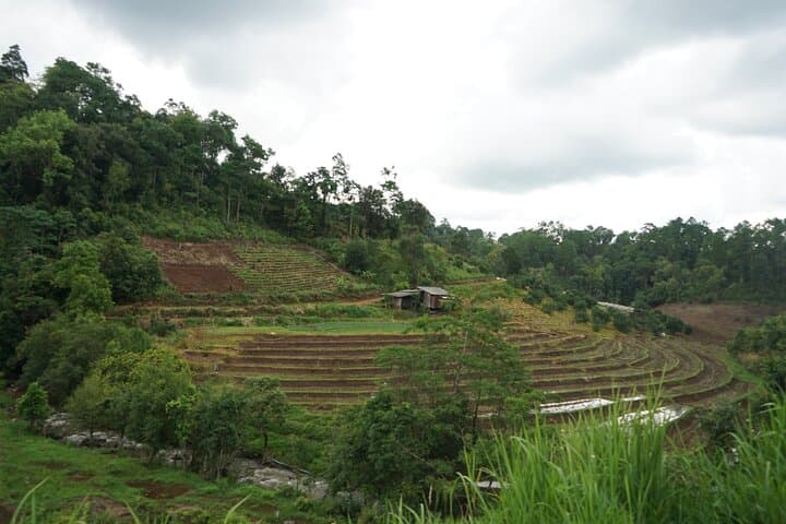 Chiang Mai Private Full Day Trekking 