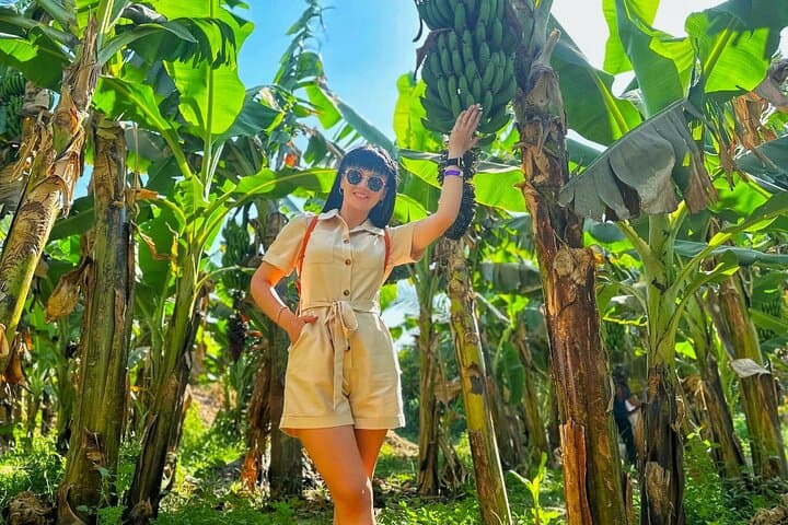 Private Felucca Trip to Banana Island & Private Transfer in Luxor