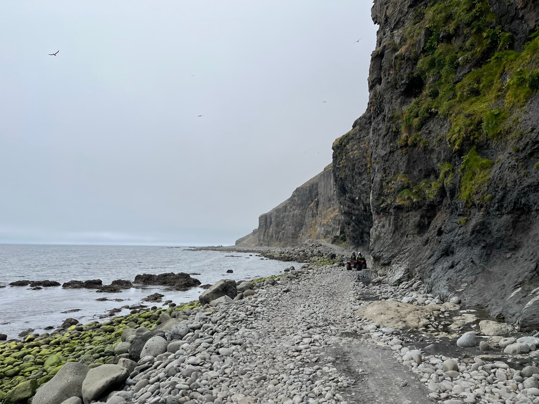 Sléttanes - Svalvogar