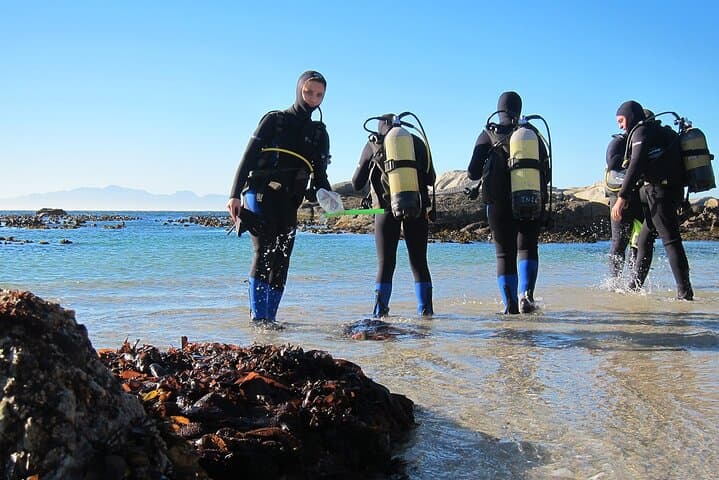 Beach Dive with Transfer – Sharm El Sheikh
