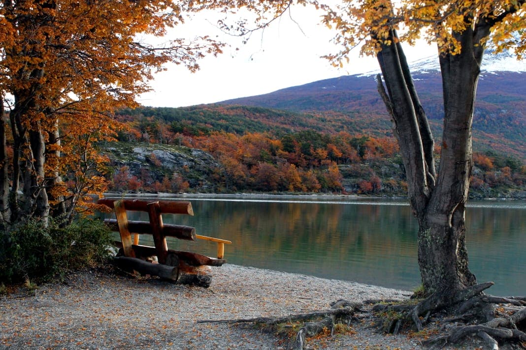 5-Hour National Park + City tour - USHUAIA (Private Tour)