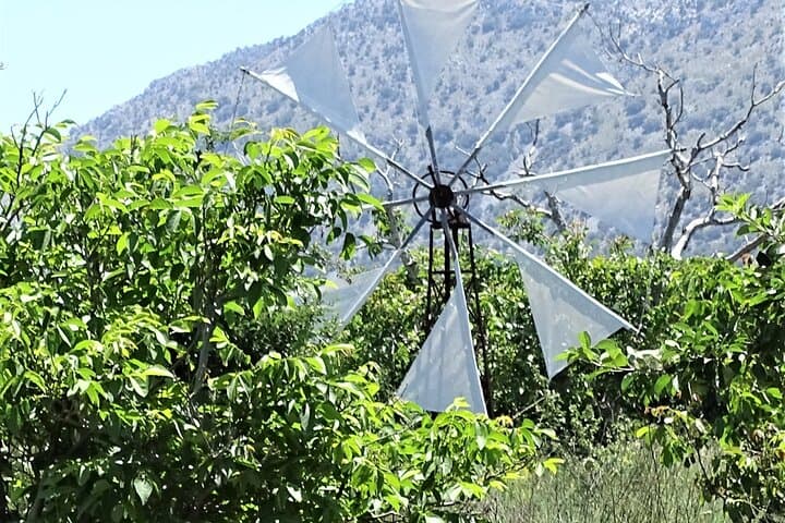 Small Group Tour to Authentic Villages Lasithi Plateau&Olive Mill