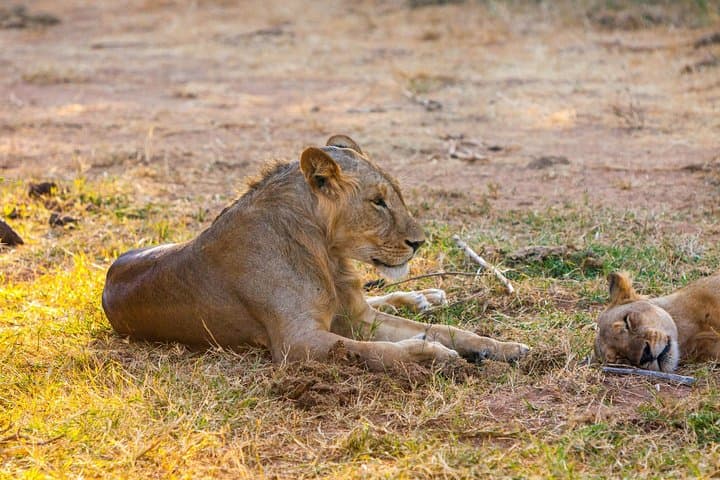 3-Day Samburu safari from Nairobi