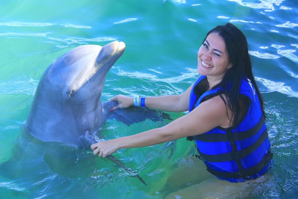 Dolphin Swim Punta Cana 