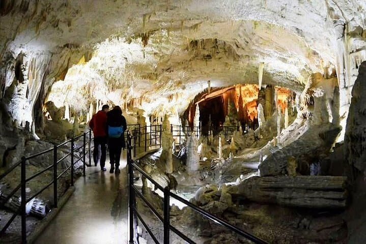 From Koper cruise Ship or Trieste to Postojna Caves Round Trip.