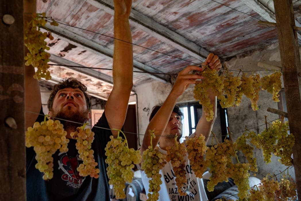 Tuscan Bites & Sips: Discover Tuscany Through Wine