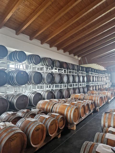 Emilia-Romagna's Typical products Tasting Tour from Parma 