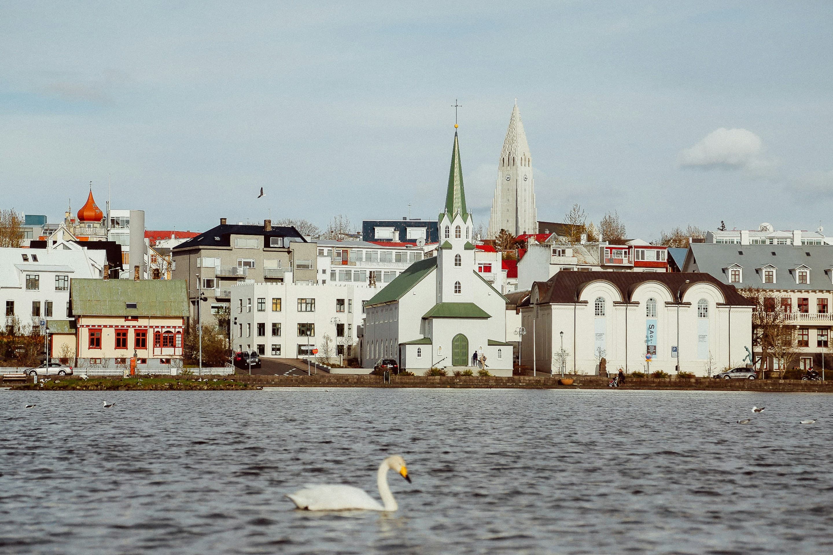 Hidden Gems of Reykjavík: A Private 2-Hour Walking Tour Through Time