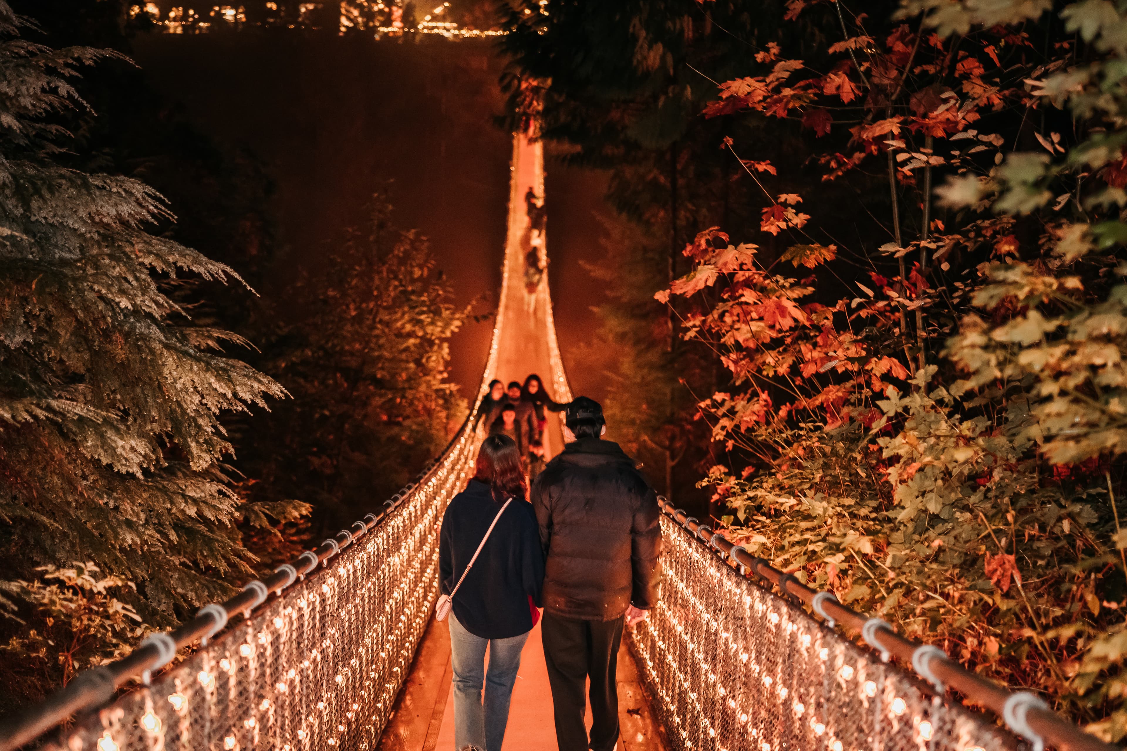 Private Tour: Capilano Suspension Bridge, Granville Island, Capilano Hatchery, Capilano Lush Rainforest & Lynn Canyon 