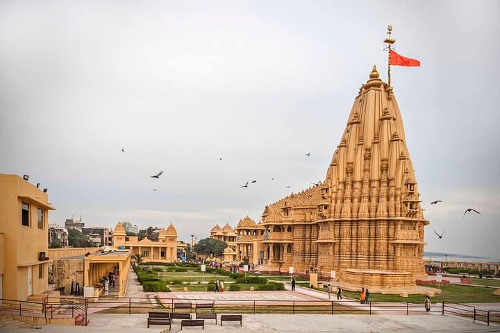 Rajkot to Diu Temple, Lion Safari & Beach Tour in Gujarat