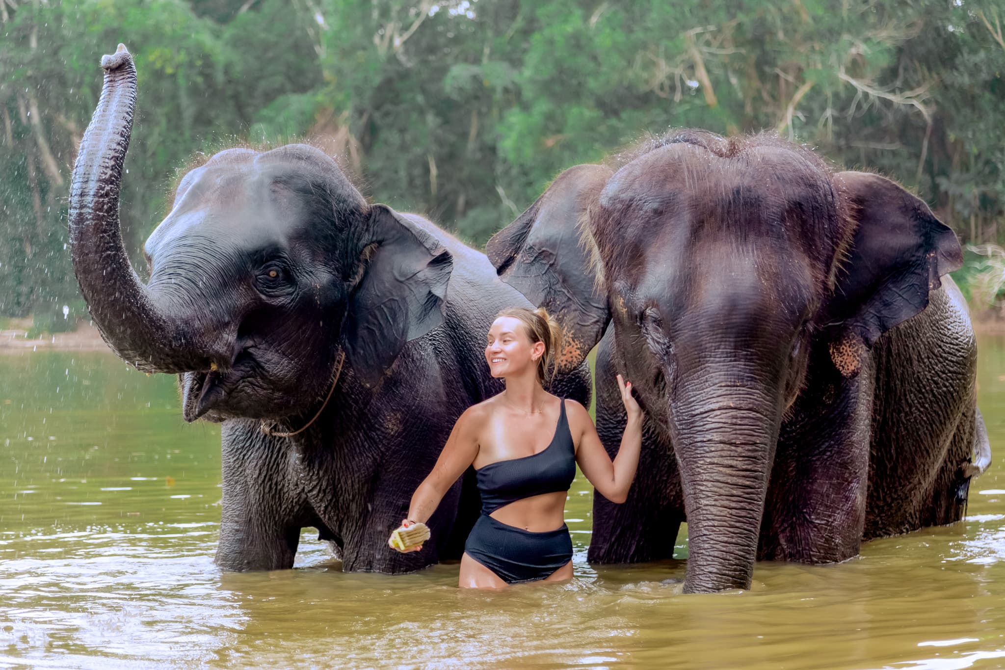 4-Hours Phuket Ethical Elephant Sanctuary Tour with Lunch