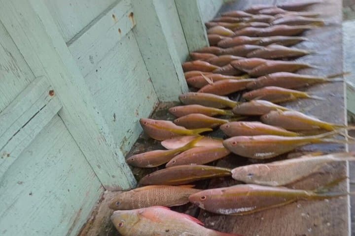 Cruffy Fishing Charters