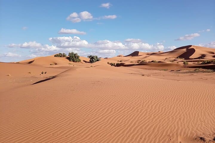3-Day Private 4x4 Sahara Tour from Marrakech w/ Camel Ride