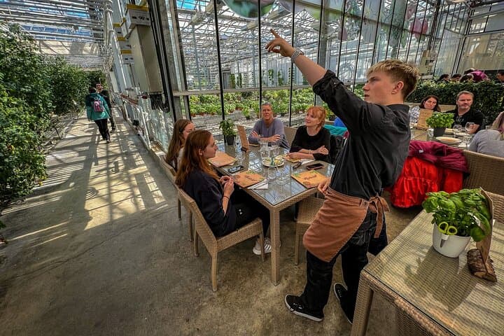 Golden Circle and Lunch at Fridheimar Tomato Farm - with photos