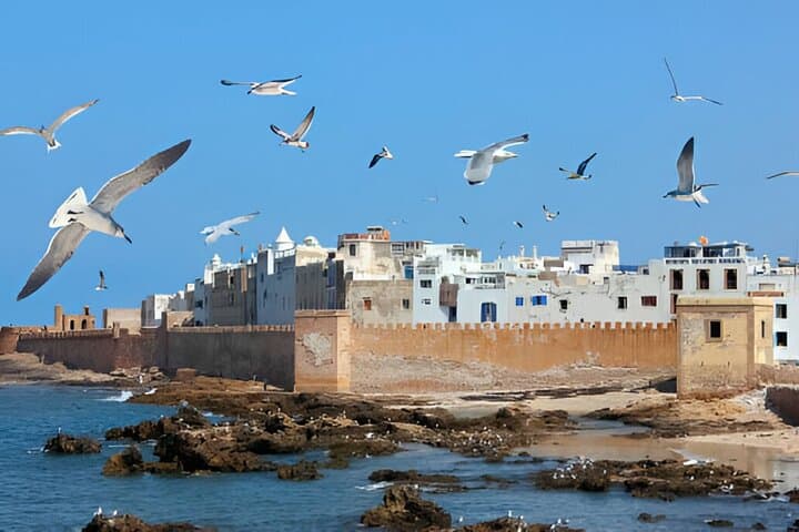 Private Day Trip to Essaouira from Marrakech