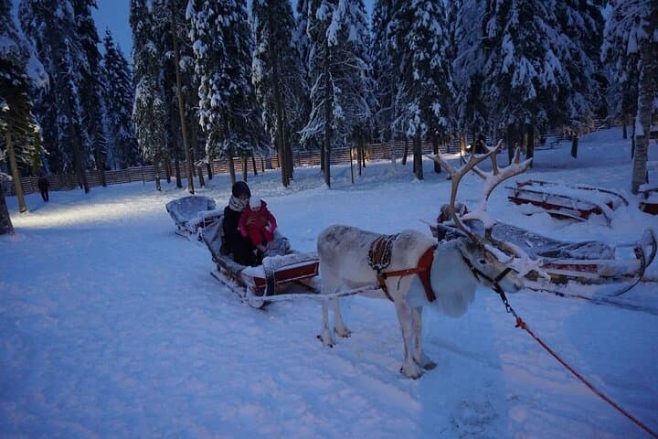 Rovaniemi Reindeer Safari & Ice Fishing Experience
