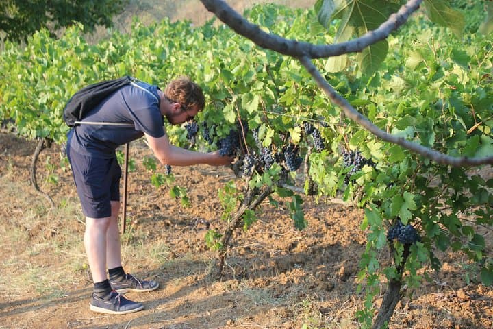 Grand Wine Tasting & Food Tour of Berat /By Vato