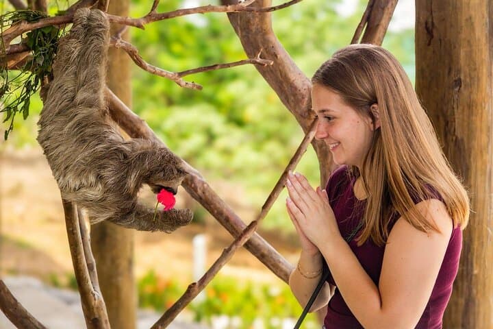 Brady's Cay all inclusive private beach daypass and wildlife park