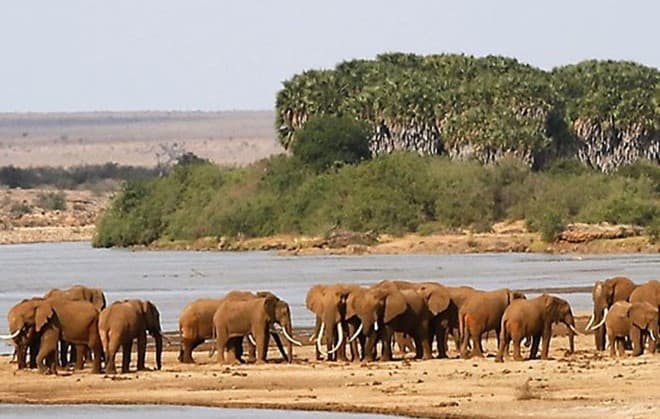 3 Days South of Kenya