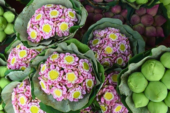 Bangkok Lotus Fields, Orchid Farm, and Flower Market Tour