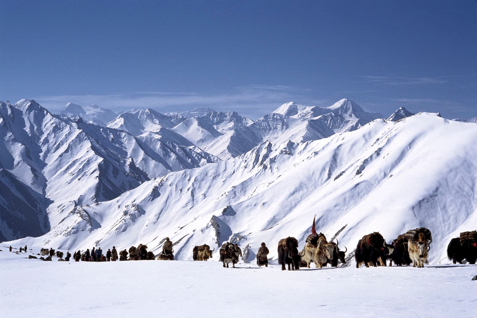 4 Hours Nepali Movie Show Time with Movie Ticket