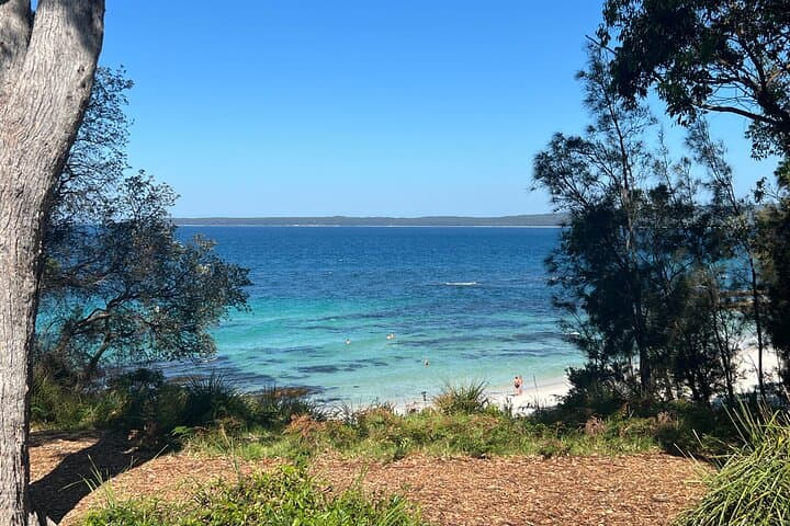 Jervis Bay Private Tour & Pick up & Drop off