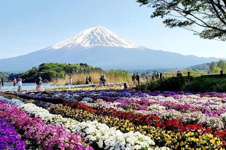 Mt. Fuji and Hakone Customizable English Guided Private Tour