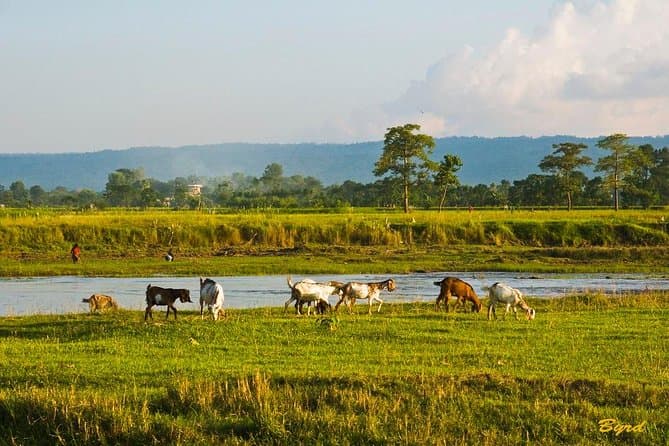 6-Day Chepang Village Homestay Hike – A Journey into Nepal’s Indigenous Heartland