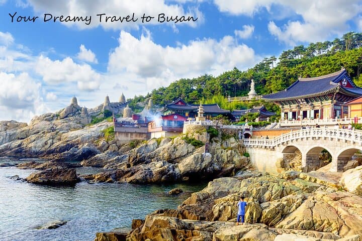 Cruise Layover : Small Group Busan Highlight Day Tour 