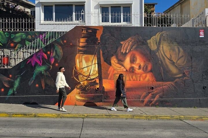 Santiago to Cruise Port and Valparaíso Tour - 4-Pax Deal