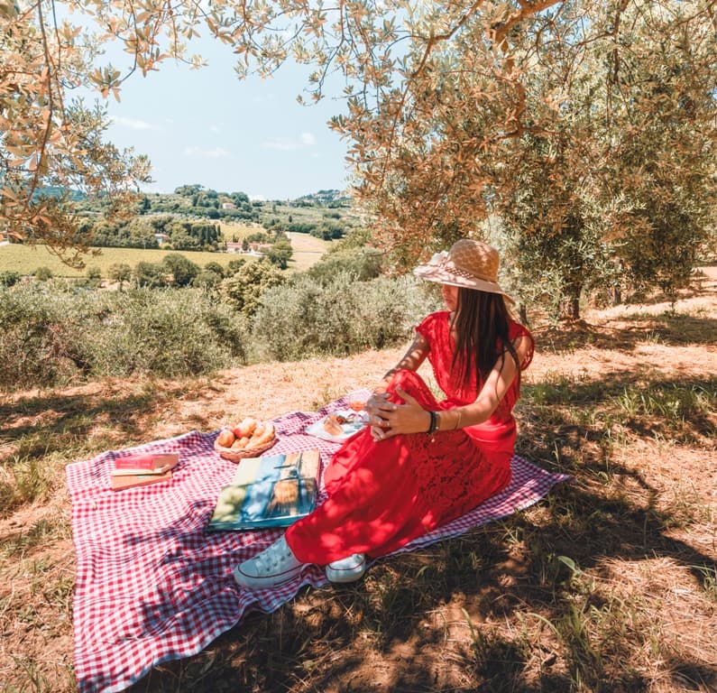 100% green tour with electric van and picnic in the vineyards