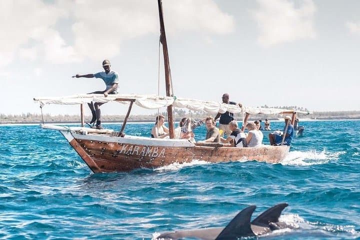 Kizimkazi Dolphin Tour in Zanzibar