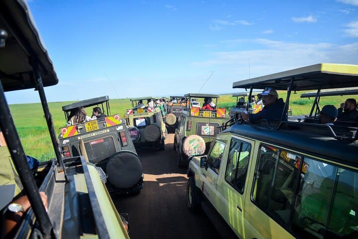 3 Days Masai Mara private mid luxury safari