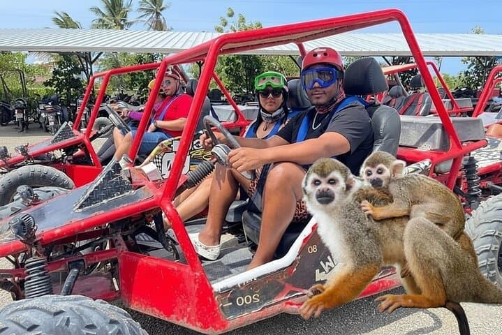Combo: Buggy and Monkeys in Puerto Plata Group Adventure