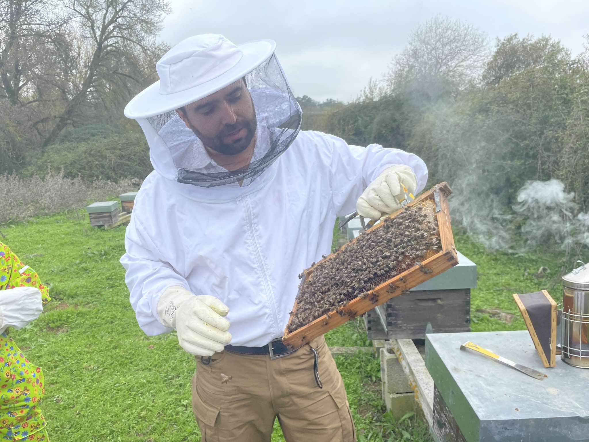  Évora or Montemor-o-Novo: Guided tour of the hives and honey tasting