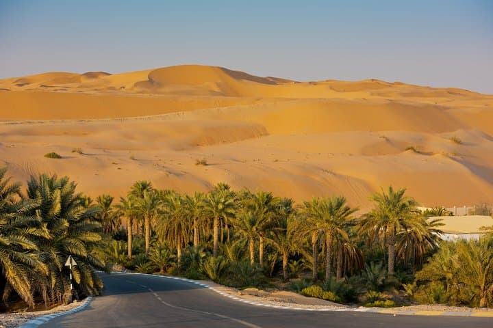 Private Liwa Full Day Desert Safari for Couples