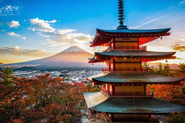 Mount Fuji Kawagoe and Hikawa Shrine Day Trip