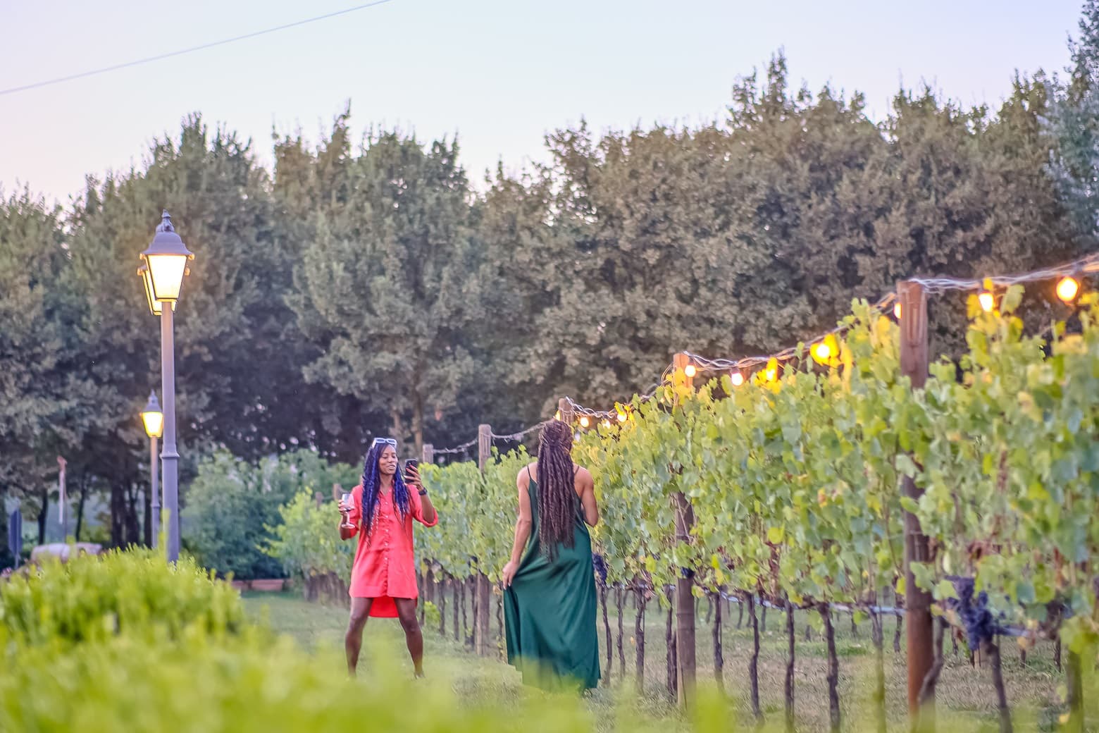 Chianti Delights: A Tale Of Two Wineries With A Vineyard Dinner