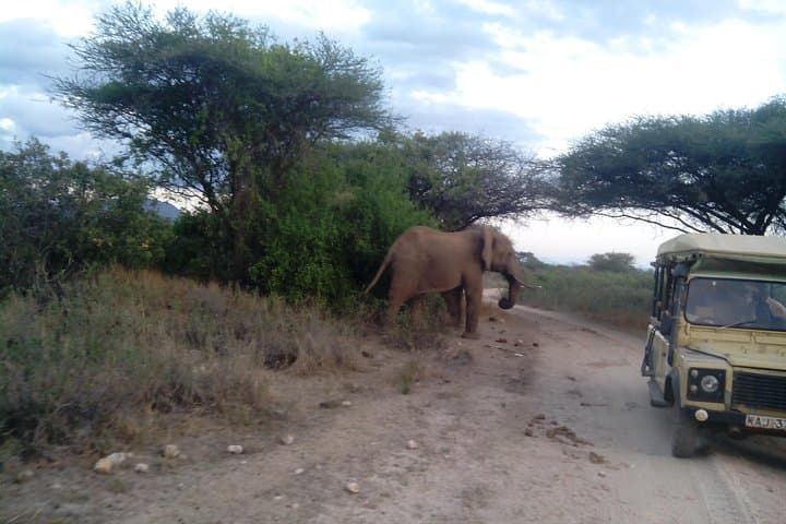 12 Days Kenya and Tanzania Budget Private Safari from Nairobi