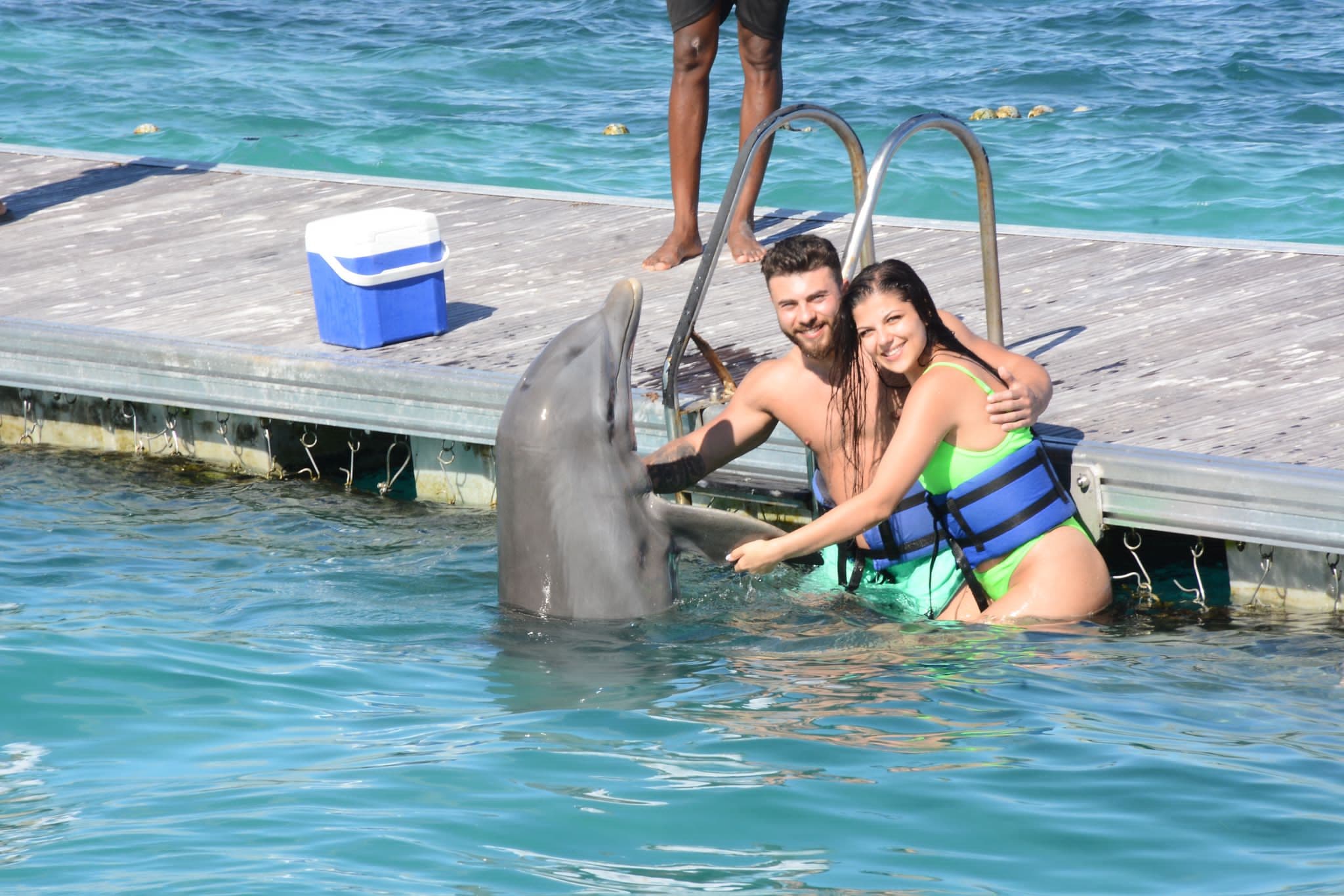 Dolphin Swim Punta Cana 